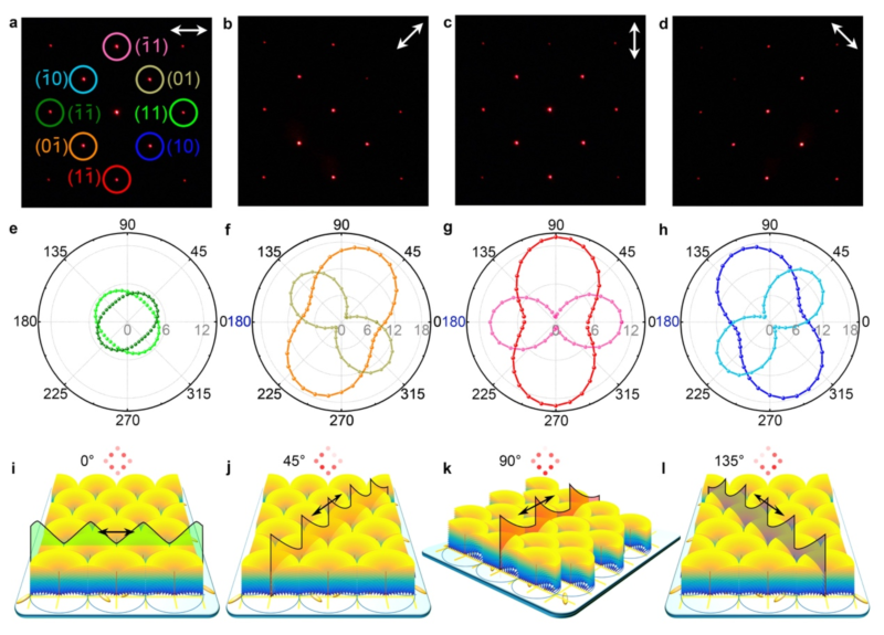 世界杯投注平台