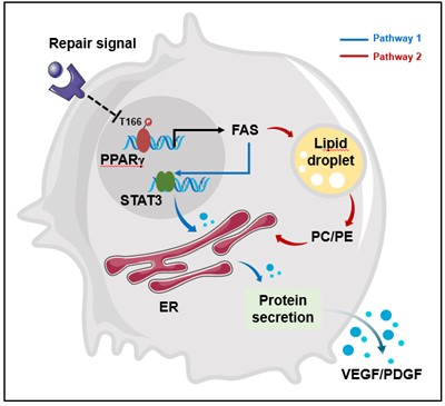世界杯投注平台