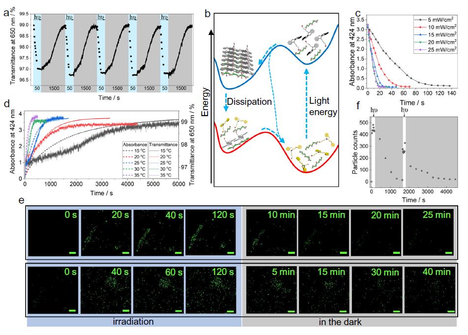 世界杯投注平台