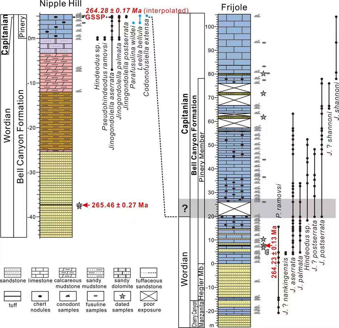世界杯投注平台