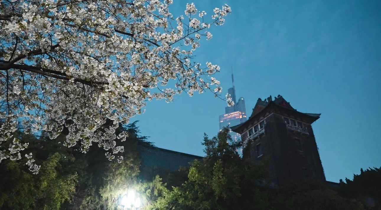 世界杯投注平台