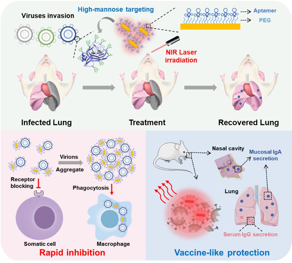 世界杯投注平台