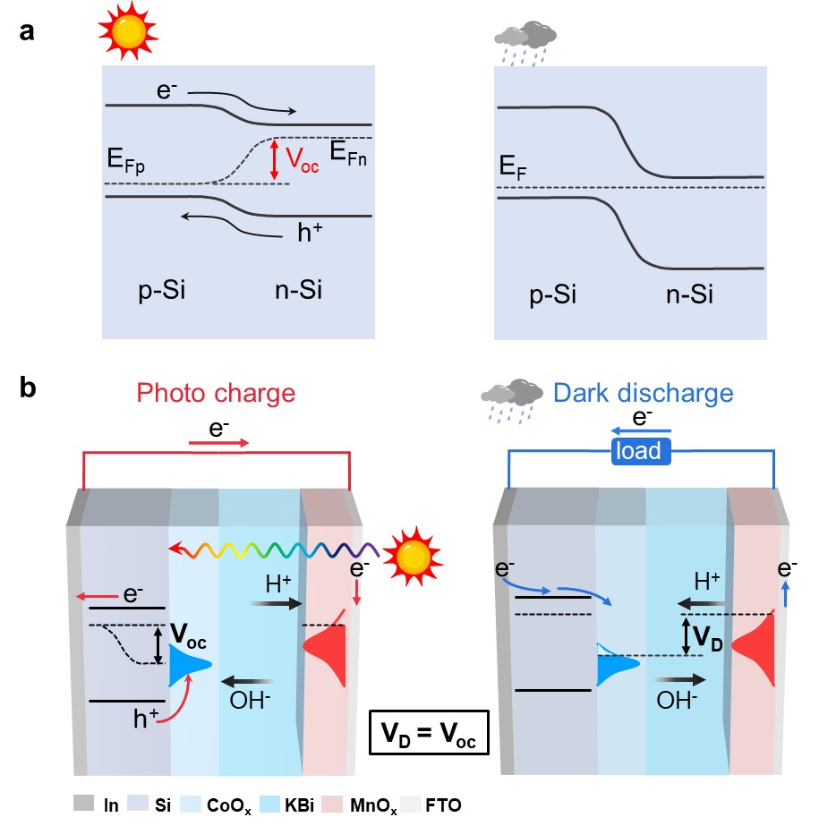 世界杯投注平台