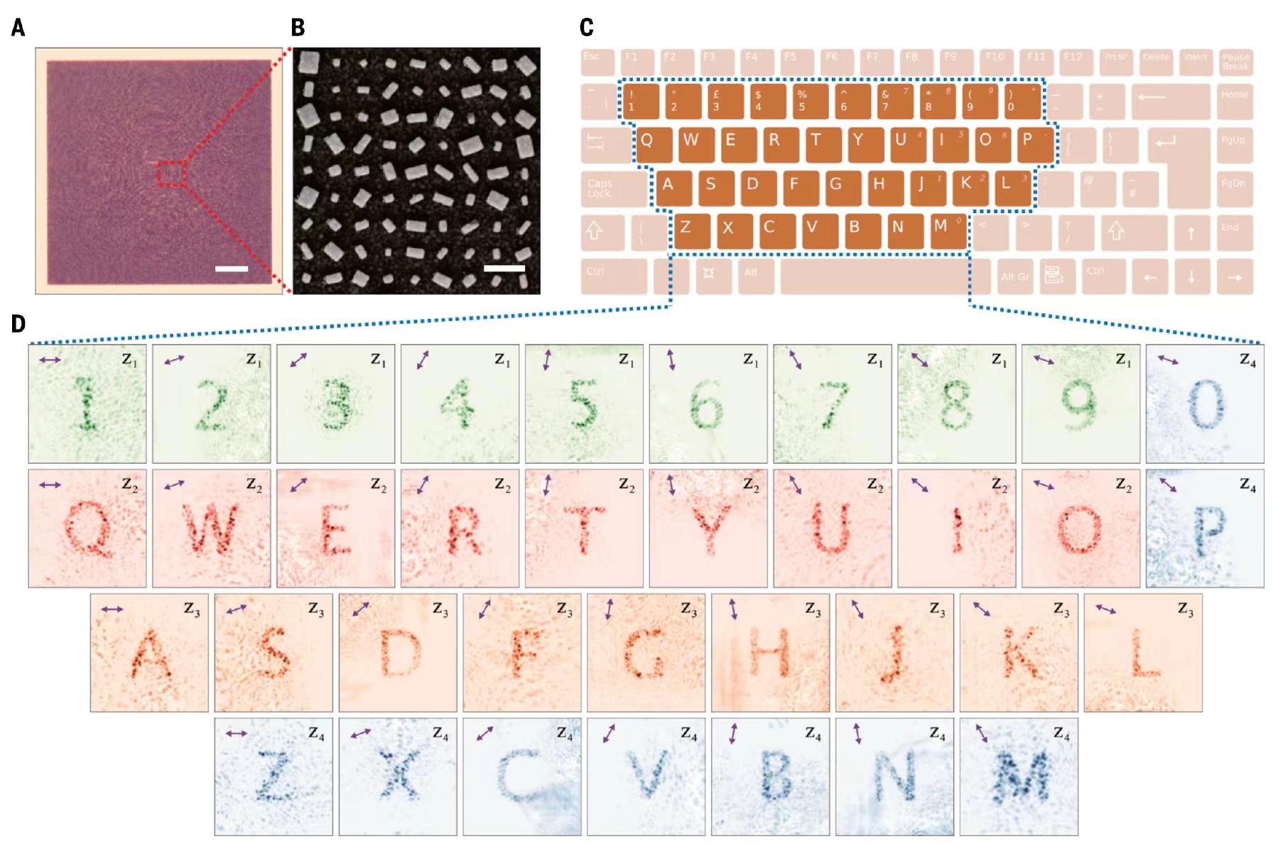 世界杯投注平台