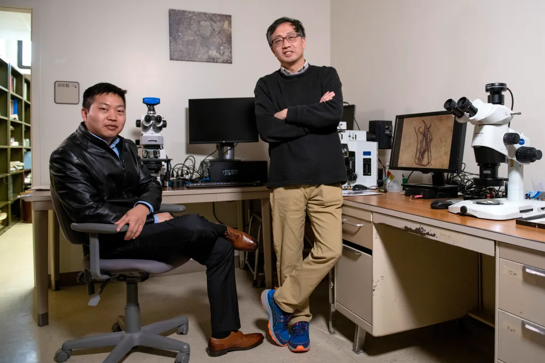 世界杯投注平台