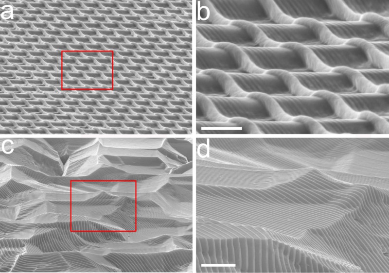 世界杯投注平台