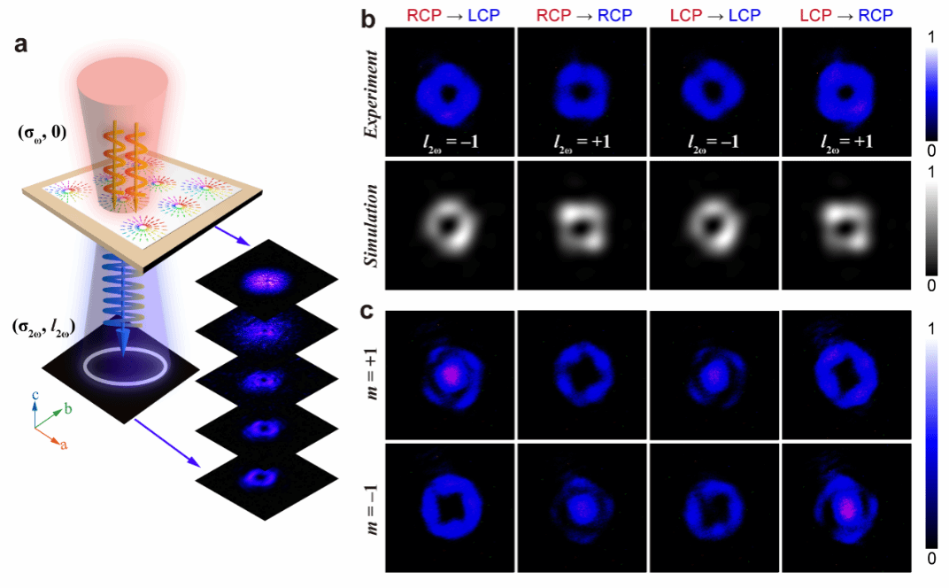 世界杯投注平台