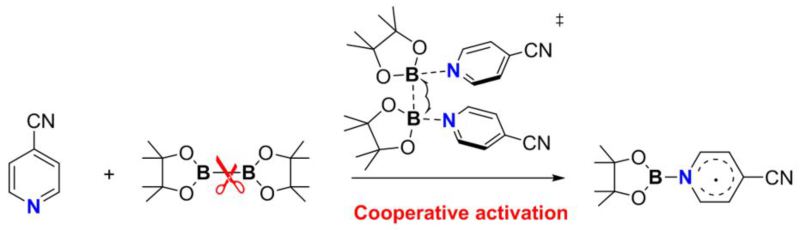 世界杯投注平台