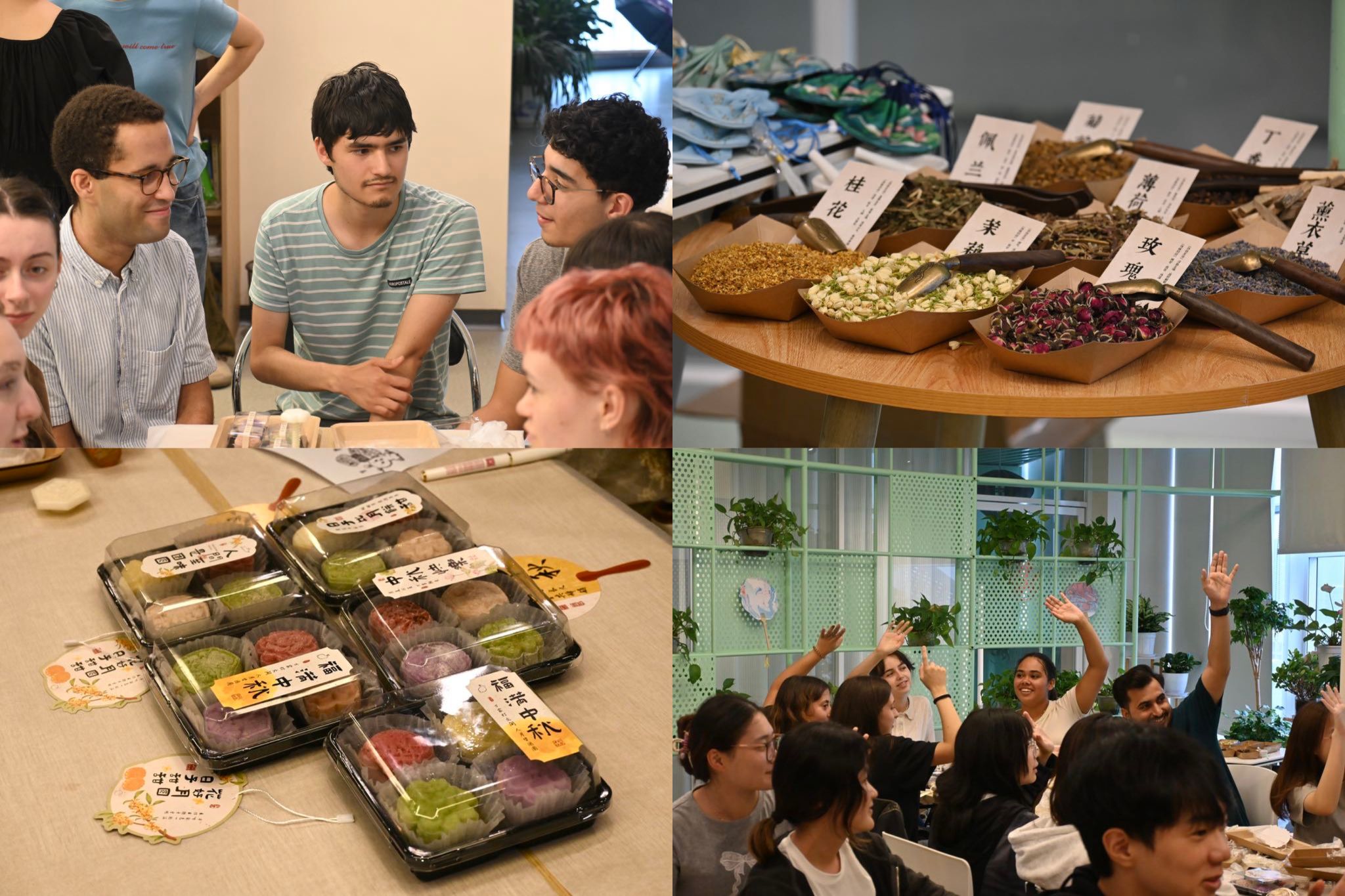 世界杯投注平台