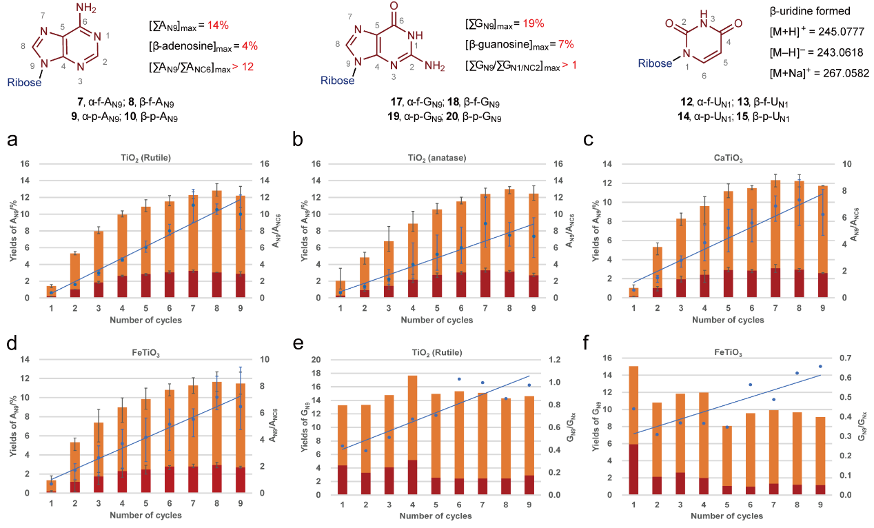 世界杯投注平台