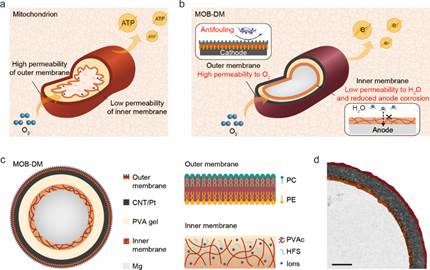 世界杯投注平台