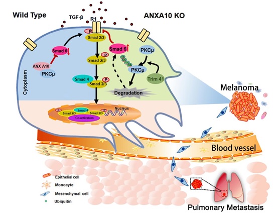 2 世界杯投注平台