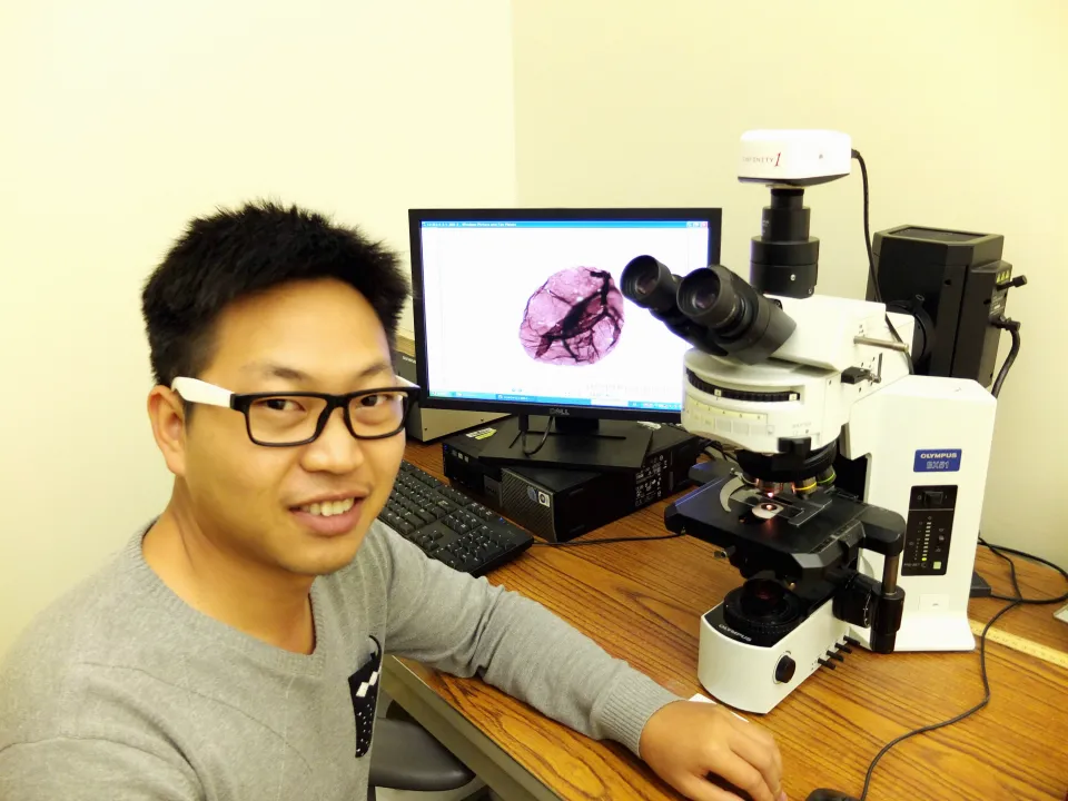 世界杯投注平台