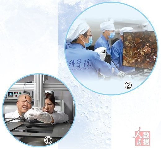 世界杯投注平台