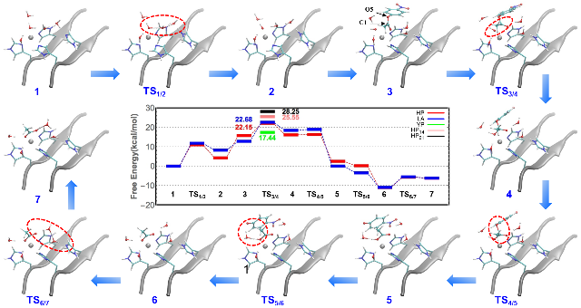 世界杯投注平台