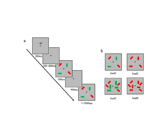 周-图1 世界杯投注平台