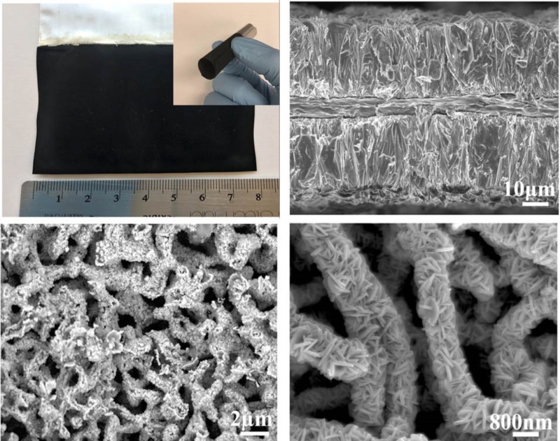 世界杯投注平台