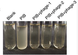世界杯投注平台