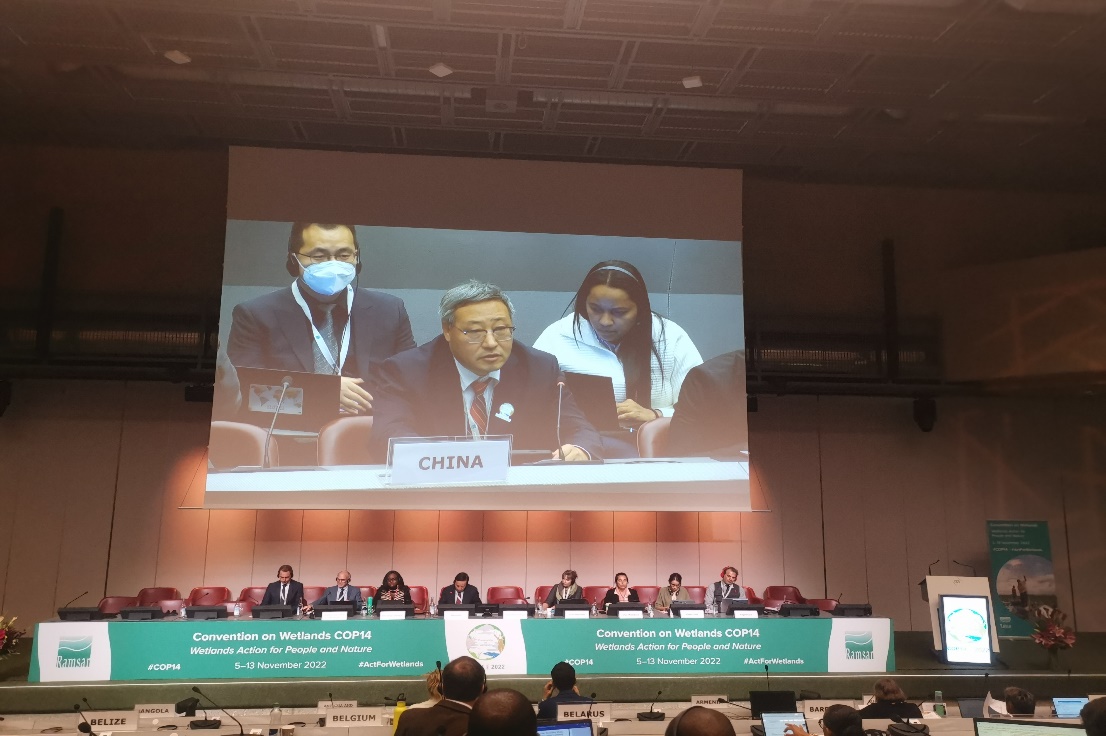 世界杯投注平台