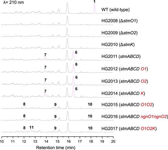2 世界杯投注平台