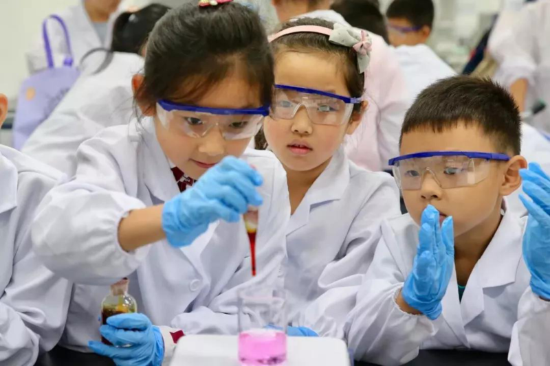 世界杯投注平台