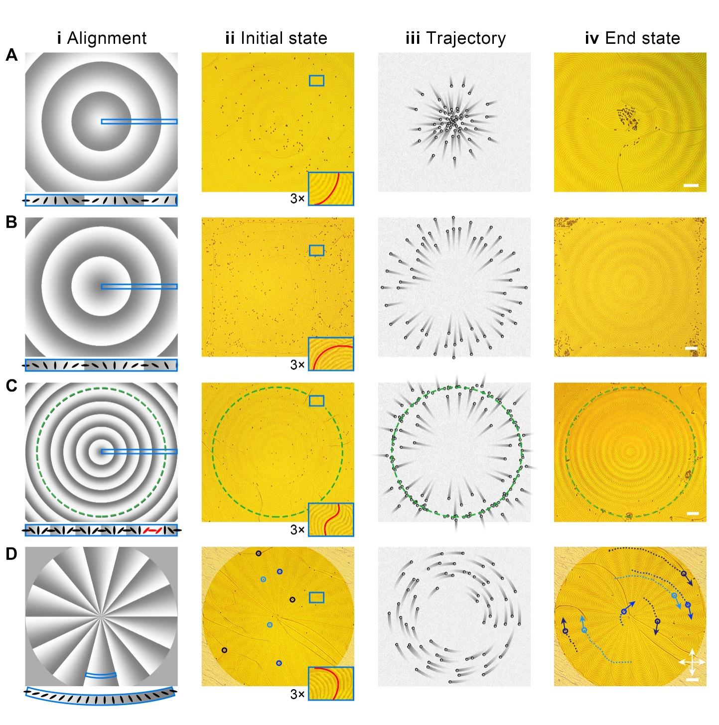 世界杯投注平台