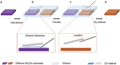 世界杯投注平台