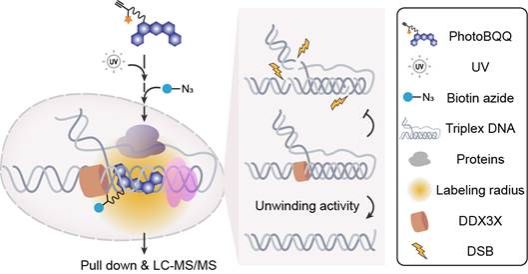 世界杯投注平台