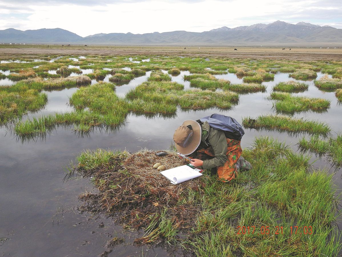 世界杯投注平台