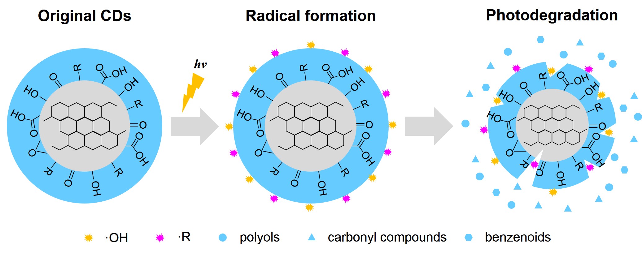 世界杯投注平台
