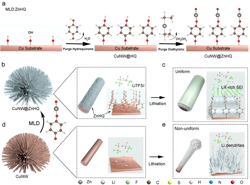 世界杯投注平台