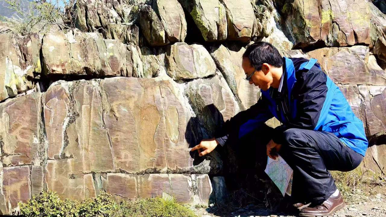 世界杯投注平台