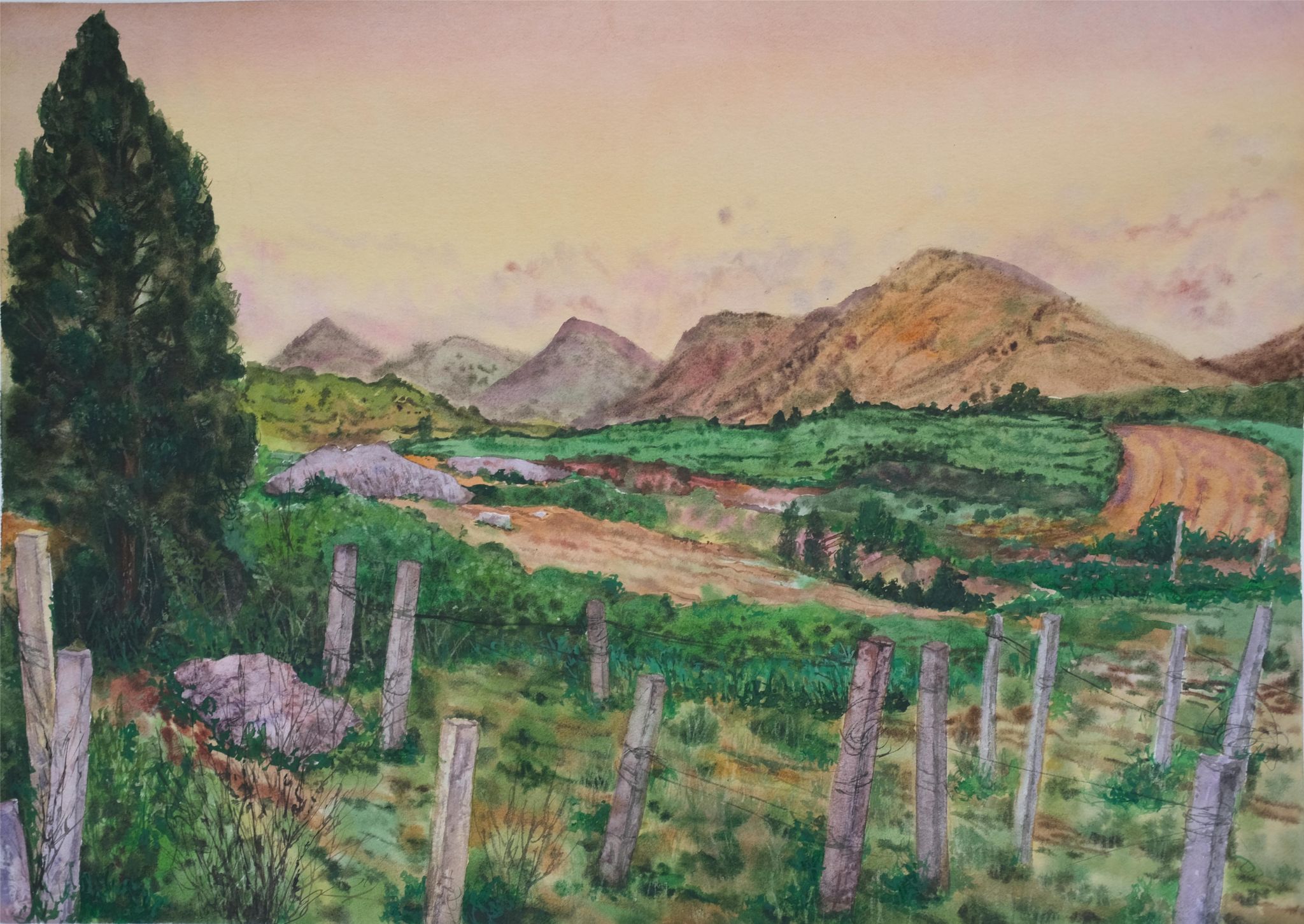 世界杯投注平台