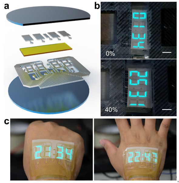世界杯投注平台