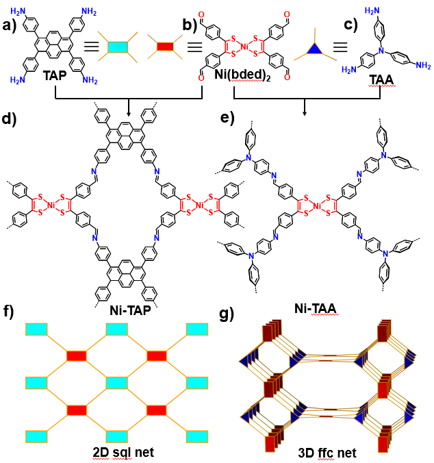 世界杯投注平台