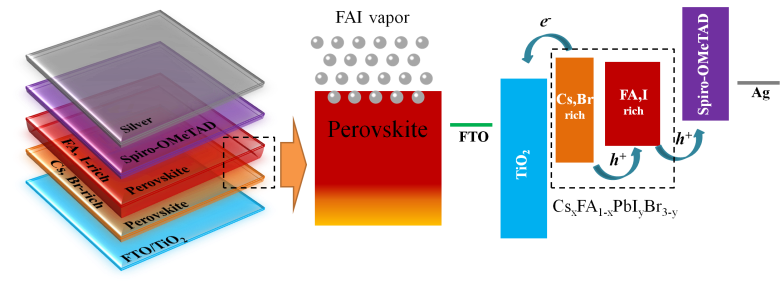 世界杯投注平台