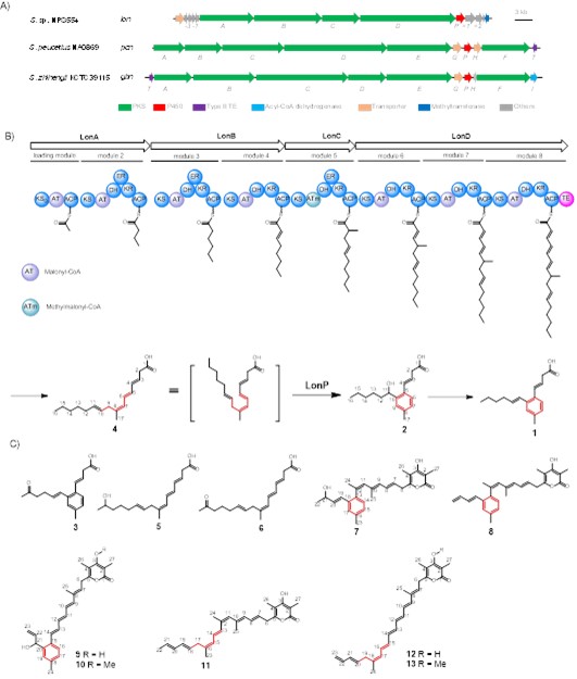 戈3 世界杯投注平台
