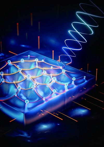 世界杯投注平台