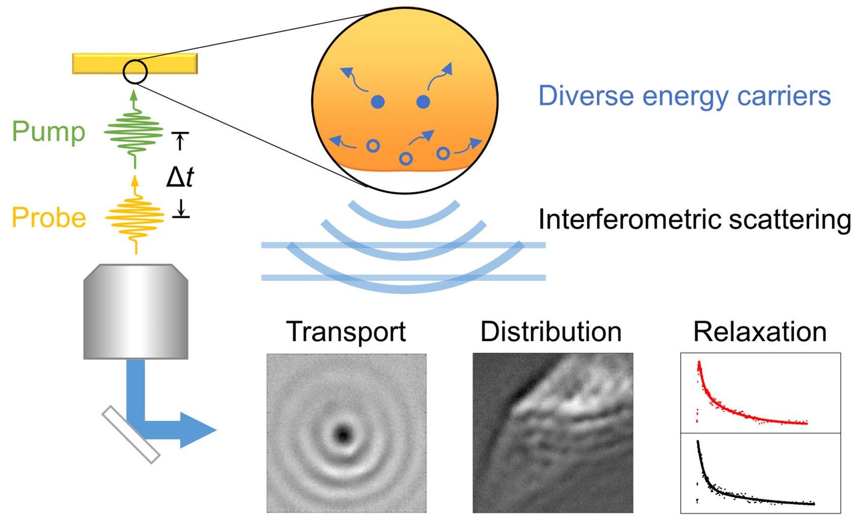 世界杯投注平台