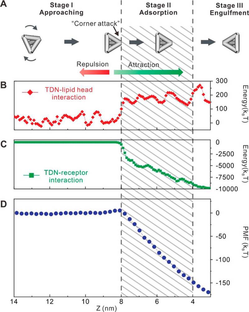 世界杯投注平台