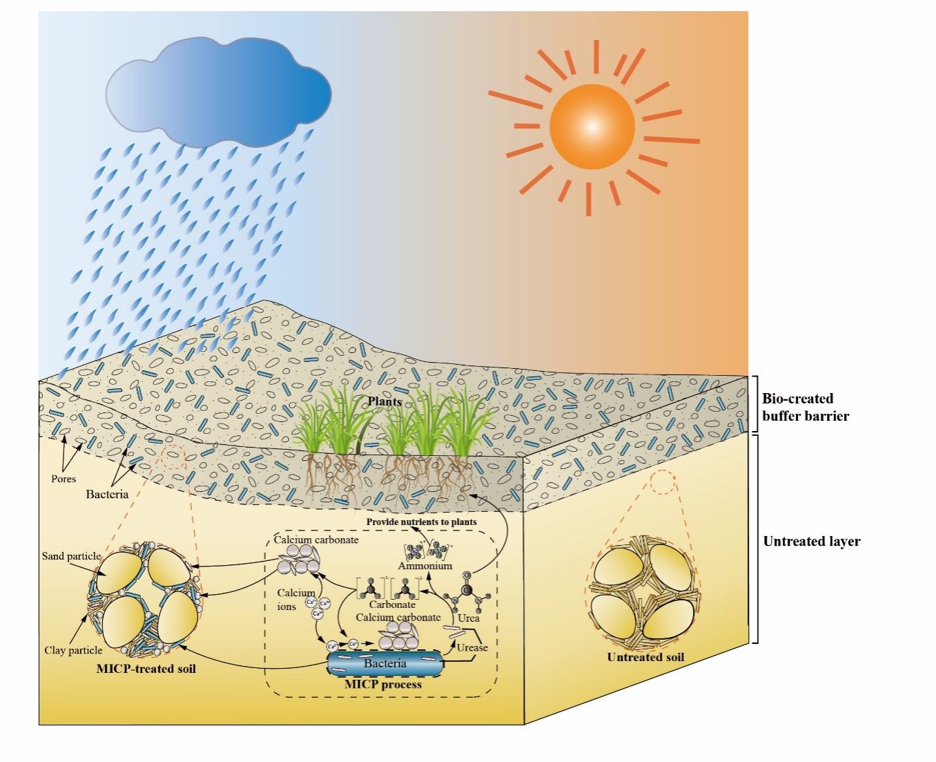 世界杯投注平台
