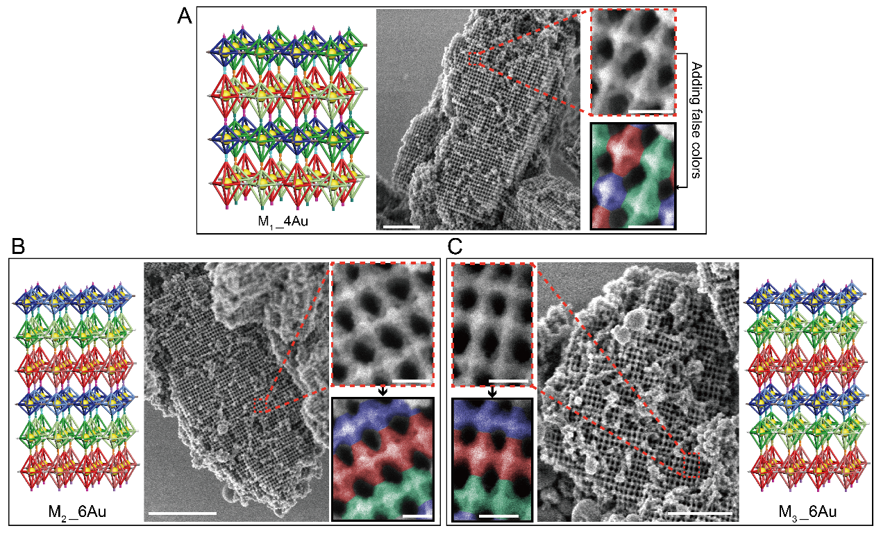 世界杯投注平台