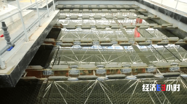 世界杯投注平台