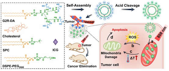 世界杯投注平台