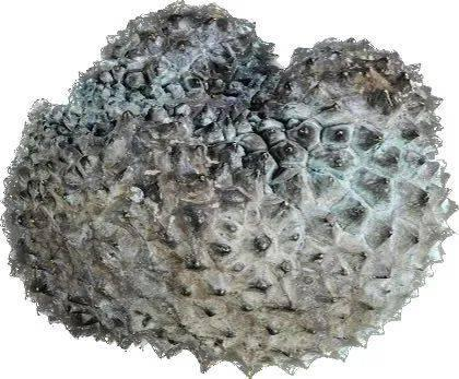 世界杯投注平台