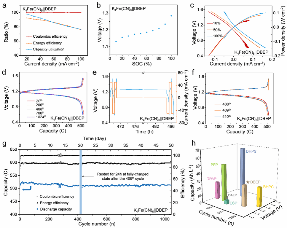 世界杯投注平台