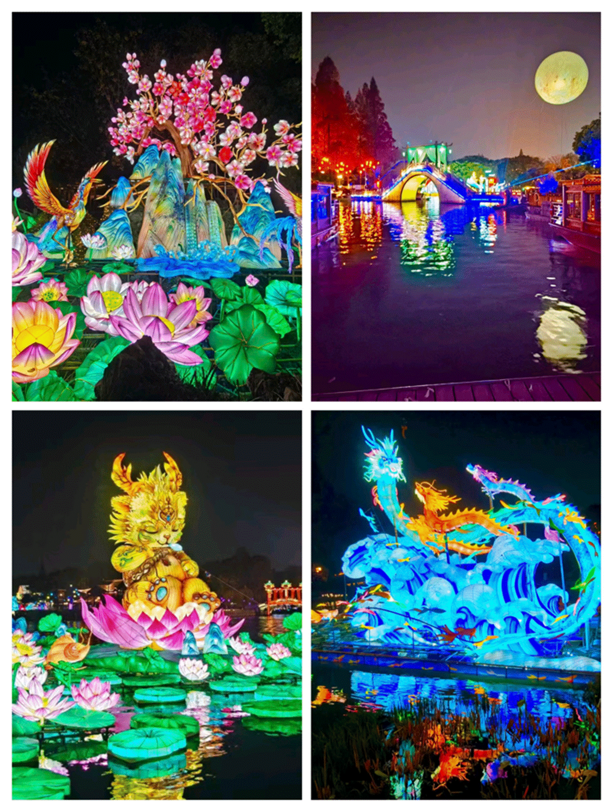 世界杯投注平台