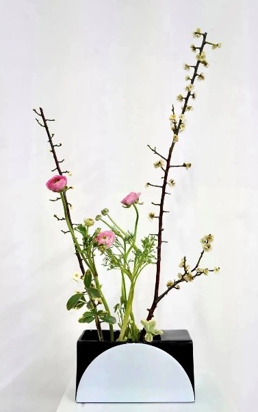 世界杯投注平台