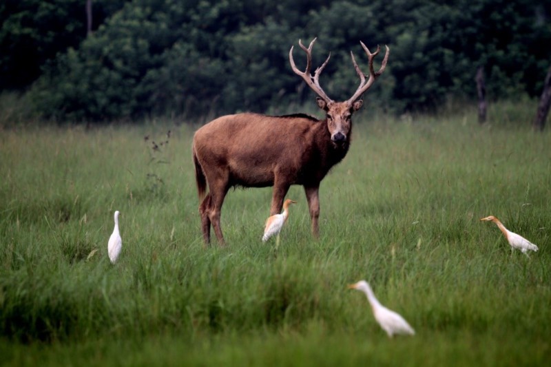 世界杯投注平台