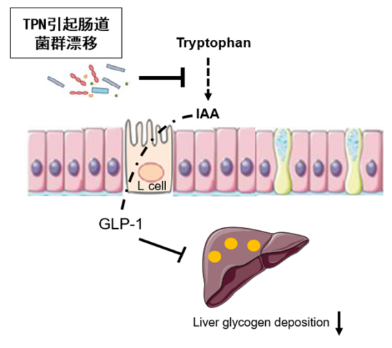 世界杯投注平台